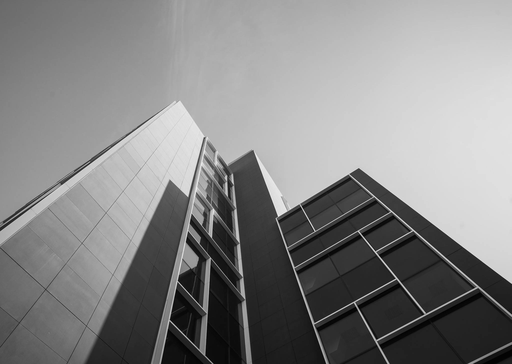 14290071_848869841881358_9038423719779681966_o